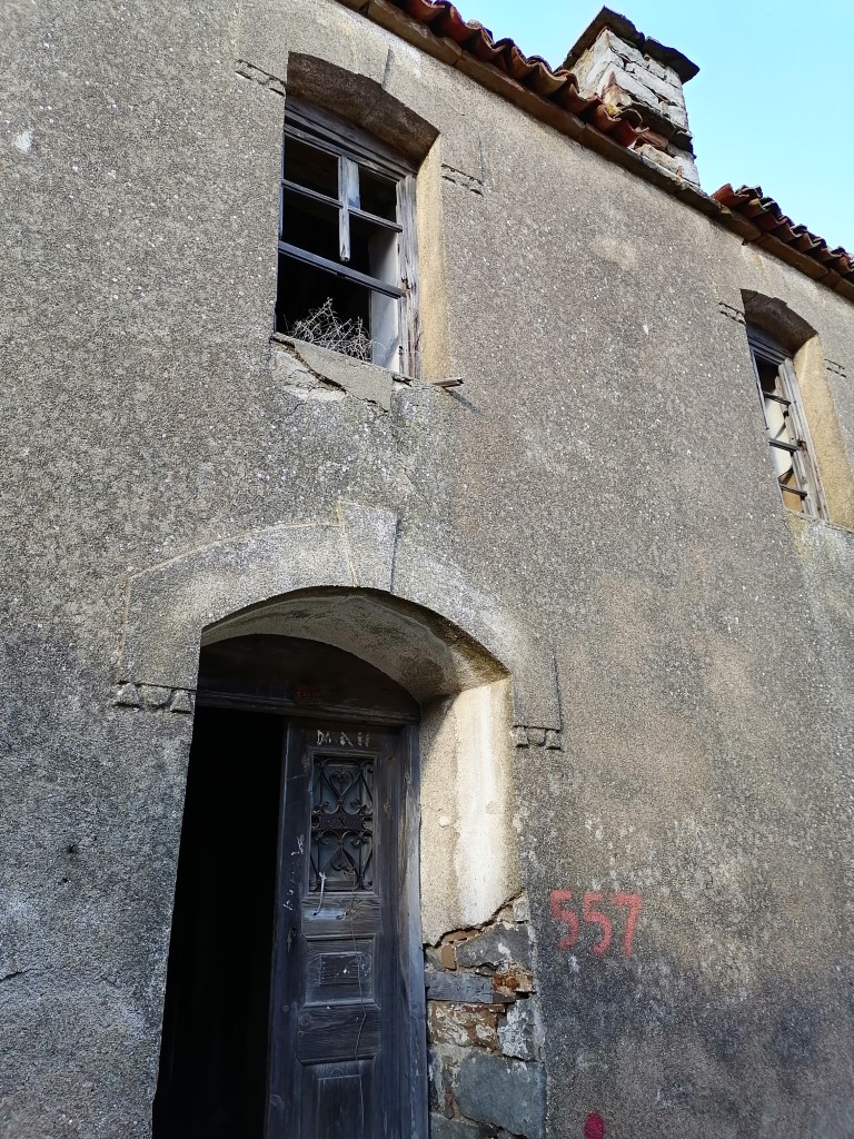 IMG_20201215_152938 (Medium)